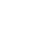 Ion1