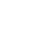 Ion1