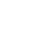 Ion1