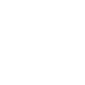 Ion1